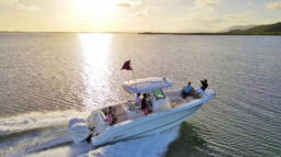 
										BOSTON WHALER 280 OUTRAGE 28 full									