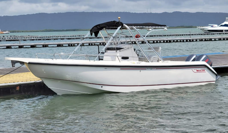 BOSTON WHALER BOAT 260 OUTRANGE 26, BOSTON WHALER BOAT 260 OUTRANGE 26 DE VALENCIA