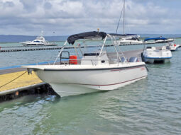 
										BOSTON WHALER BOAT 260 OUTRANGE 26 full									