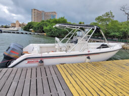 
										BOSTON WHALER BOAT 260 OUTRANGE 26 full									