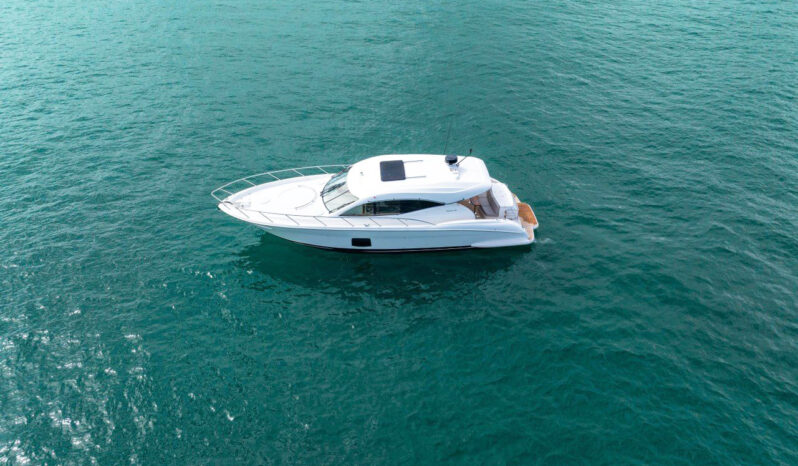 
								MARITIMO C50 SPORTS CABRIOLET 50 full									