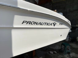 
										PROMARINE OPEN 24 full									