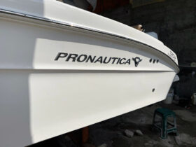 PROMARINE OPEN 24