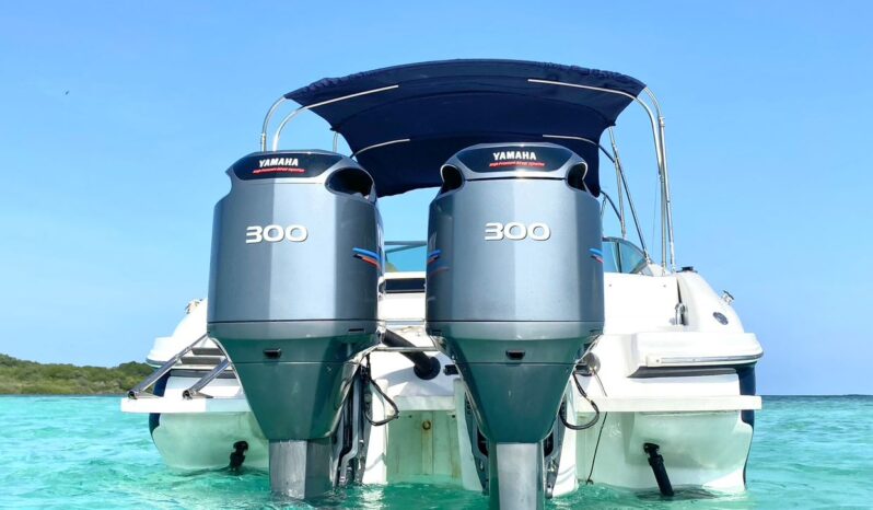 
								SEA RAY 280 28 full									