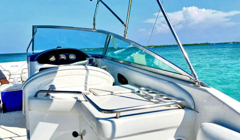 
								SEA RAY 280 28 full									