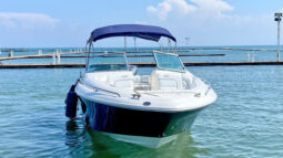 
										SEA RAY 280 28 full									