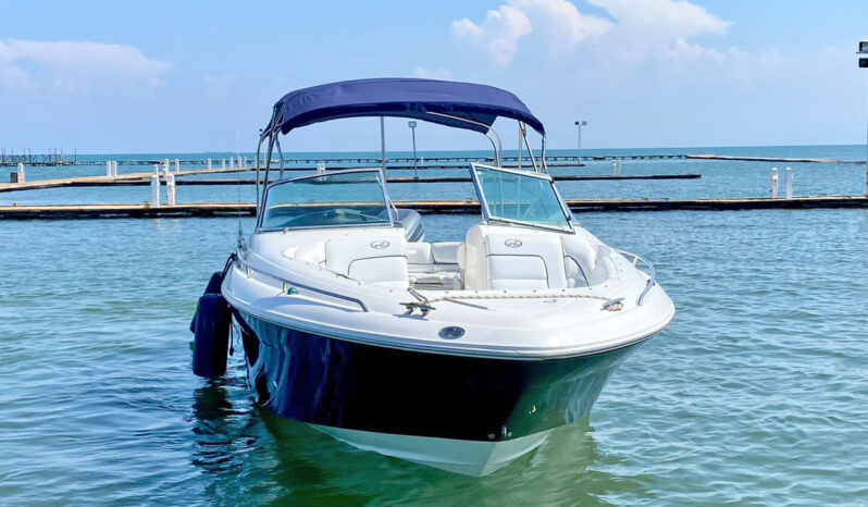 
								SEA RAY 280 28 full									