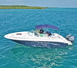 
										SEA RAY 280 28 full									