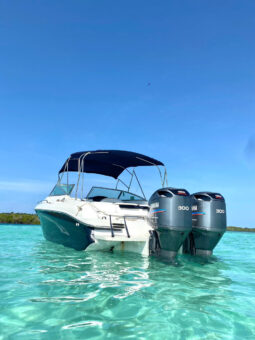 
										SEA RAY 280 28 full									