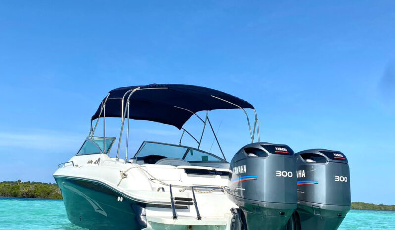 
								SEA RAY 280 28 full									