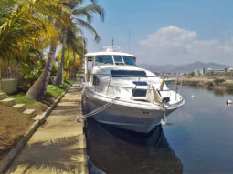 
										SEA RAY 390 MOTOR YACHT 39 full									