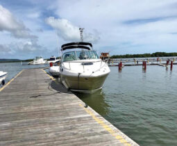 
										SEA RAY SUNDANCER 240 24 full									