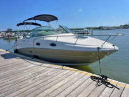 
										SEA RAY SUNDANCER 240 24 full									