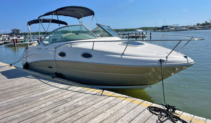 
								SEA RAY SUNDANCER 240 24 full									