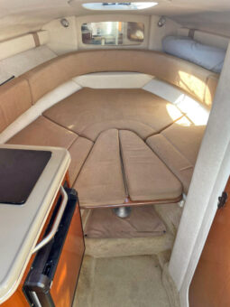 
										SEA RAY SUNDANCER 240 24 full									