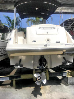 
										SEA RAY SUNDANCER 240 24 full									