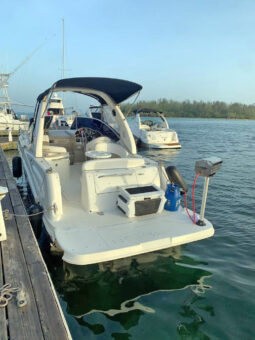 
										SEA RAY SUNDANCER 260 26 full									