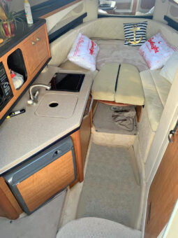 
										SEA RAY SUNDANCER 260 26 full									