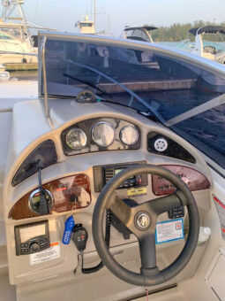 
										SEA RAY SUNDANCER 260 26 full									