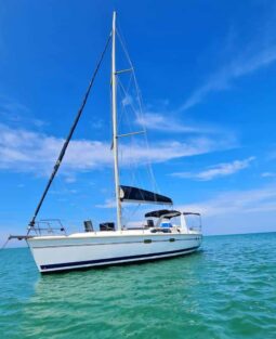 
										VELERO HUNTER 430 44 full									