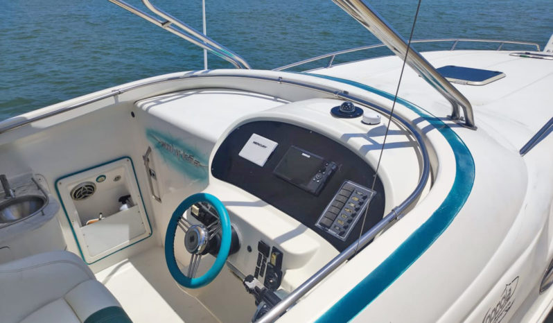 
								COPPOLA CONVERTIBLE 390 SS 39 full									