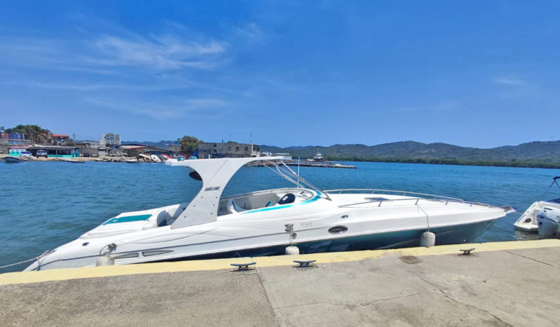 
								COPPOLA CONVERTIBLE 390 SS 39 full									