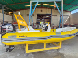 
										DINGHY CARIBE 15 full									