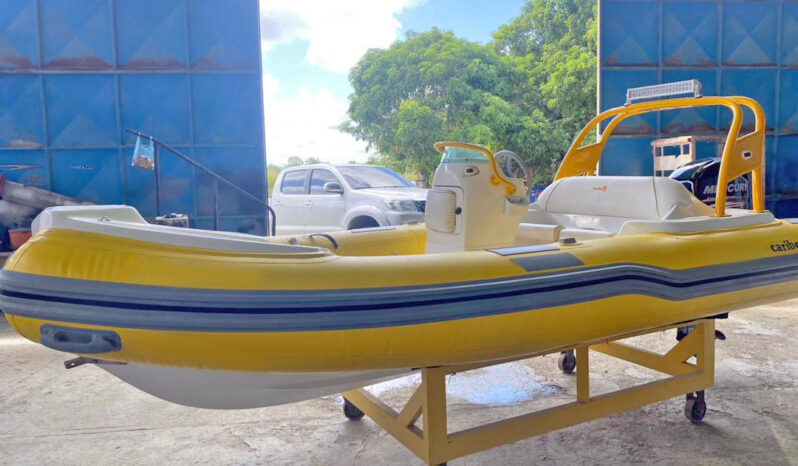 
								DINGHY CARIBE 15 full									