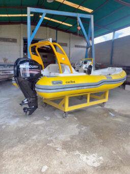 
										DINGHY CARIBE 15 full									