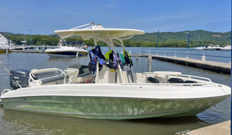 PROMARINE OPEN SPORT FISHING 21, VENTA DE PROMARINE OPEN SPORT FISHING 21, PROMARINE OPEN SPORT FISHING 21 DE HIGUEROTE