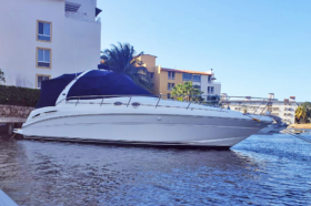 SEA RAY SUNDANCER 36