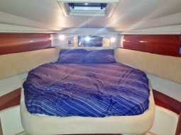 
										SEA RAY SUNDANCER 36 full									