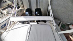 
										DINGHY CARIBE 26 full									