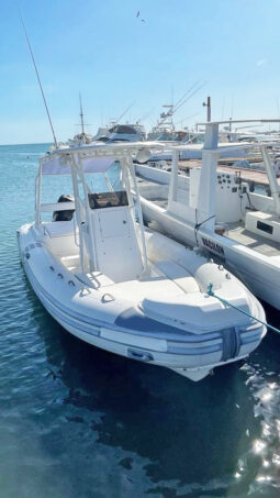 
										DINGHY CARIBE 26 full									