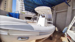 
										DINGHY CARIBE 26 full									