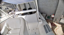 
										DINGHY CARIBE 26 full									