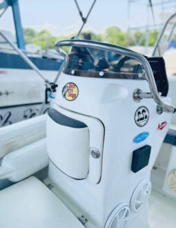 
										DINGHY CARIBE DL 15 full									