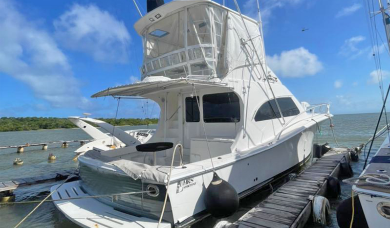 
								LUHRS SPECIAL EDITION 41 full									