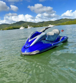 
										MOTO YAMAHA WAVE RUNNER FX full									