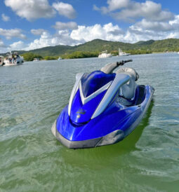 
										MOTO YAMAHA WAVE RUNNER FX full									