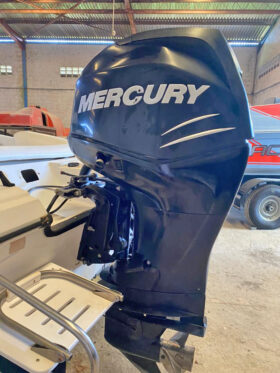 MOTOR MERCURY 200 HP