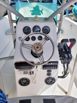 
										PEÑERO BULL MARINE 28 full									