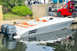 PROMARINE SPORT 33, VENTA DE PROMARINE SPORT 33, PROMARINE SPORT 33 DE LECHERIA (1)