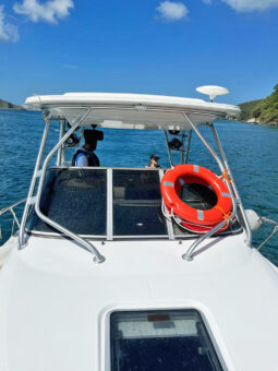 
										ROBALO 30.5 full									