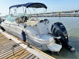 
										SEA RAY SUNDANCER 240 25 full									