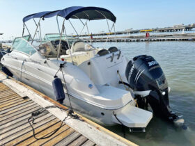 SEA RAY SUNDANCER 240 25