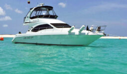 
										SEA RAY SEDAN BRIDGE 44 full									