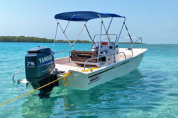 BOSTON WHALER MONTAUK 24, VENTA DE BOSTON WHALER MONTAUK 24, BOSTON WHALER MONTAUK 24 DE MORROCOY (1)