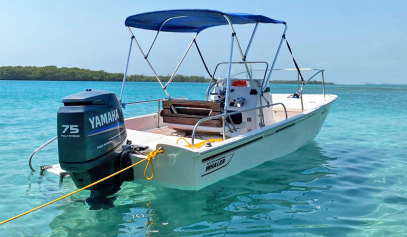 BOSTON WHALER MONTAUK 24, VENTA DE BOSTON WHALER MONTAUK 24, BOSTON WHALER MONTAUK 24 DE MORROCOY (1)