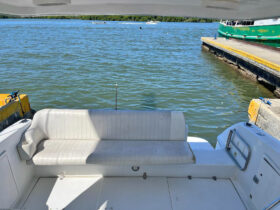 CHRIS CRAFT CROWN 34